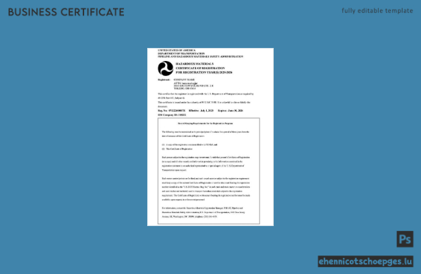 US-Registrierungszertifikat (Word und PDF), Version 3 – Beispielvorschau